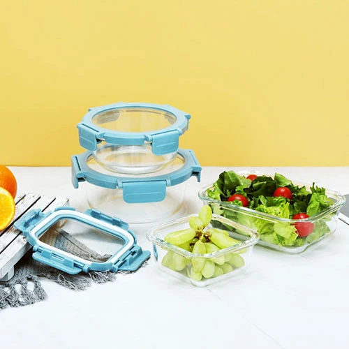 Glass Food Storage Container with Glass Lid