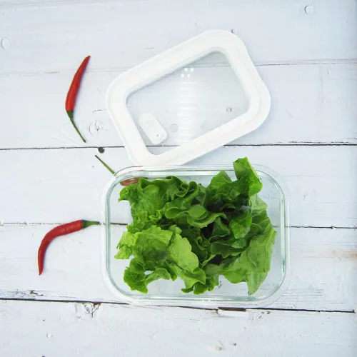 Glass Food Containers with Glass Lids - Airtight &#038; BPA-Free